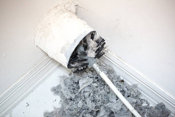 Best Home Air Vent Cleaning  in Colorado City, TX